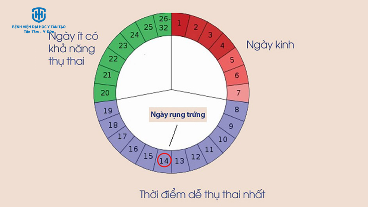 các biện pháp tránh thai - tính chu kỳ kinh nguyệt