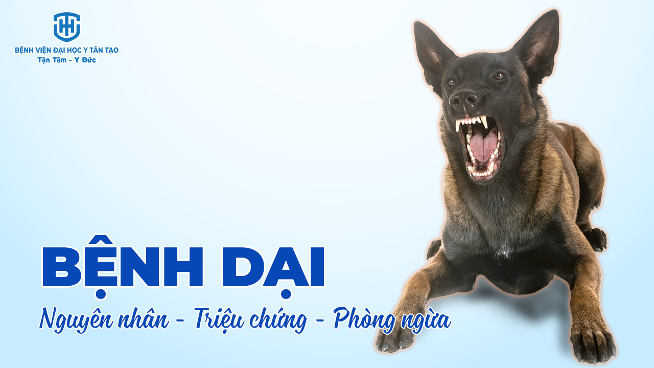 Bệnh dại: Nguyên nhân, triệu chứng và phòng ngừa