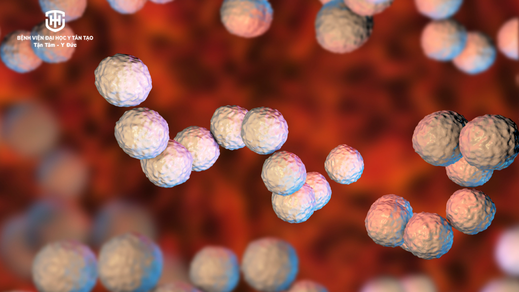 viêm họng do liên cầu khuẩn - strep A