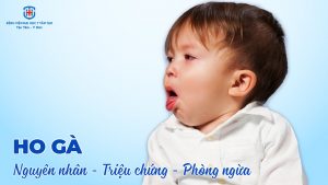 ho gà - nguyên nhân triệu chứng và phòng ngừa