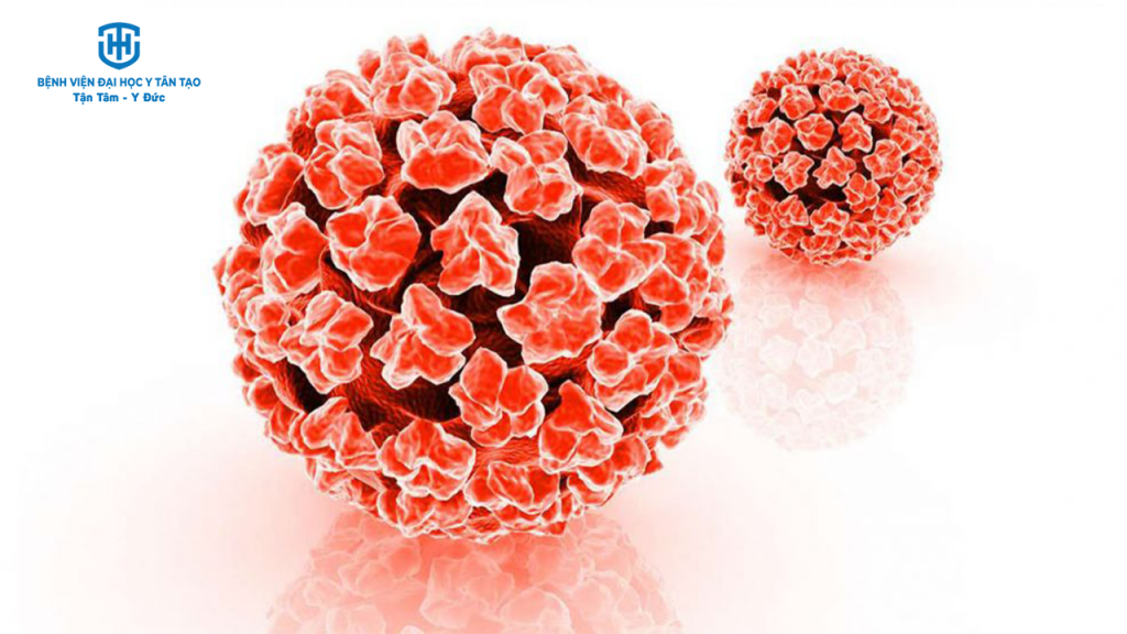 vắc xin ngừa hpv - khái quát về hpv